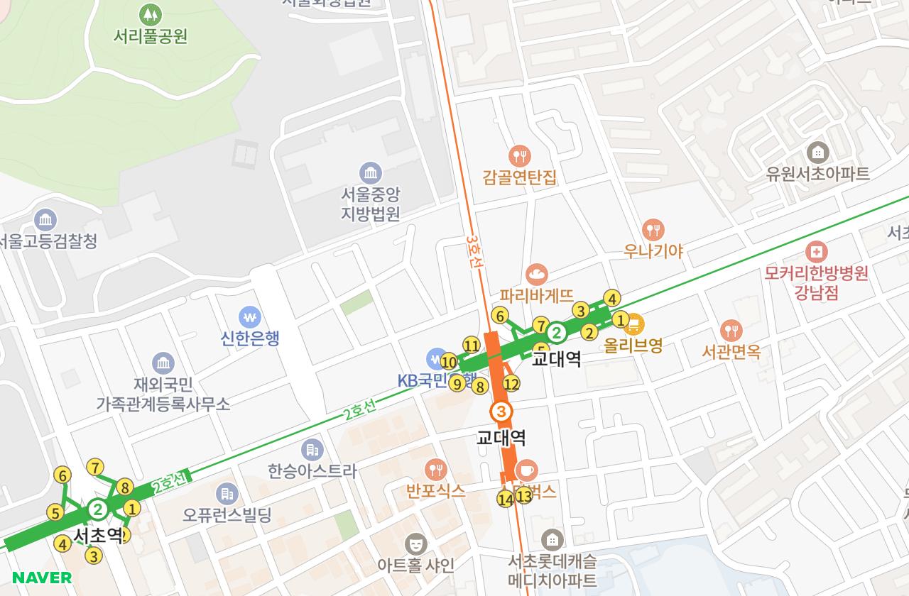 위치 지도