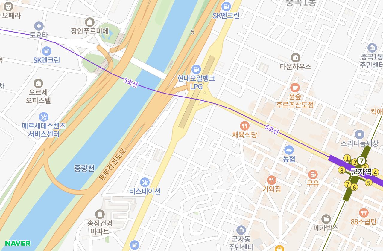 위치 지도