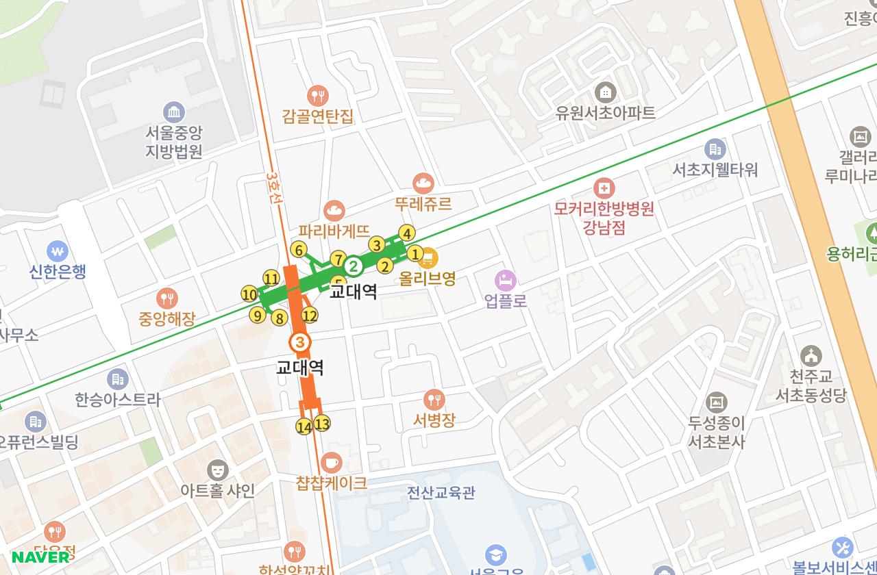 위치 지도