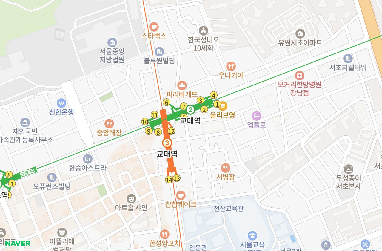 위치 지도