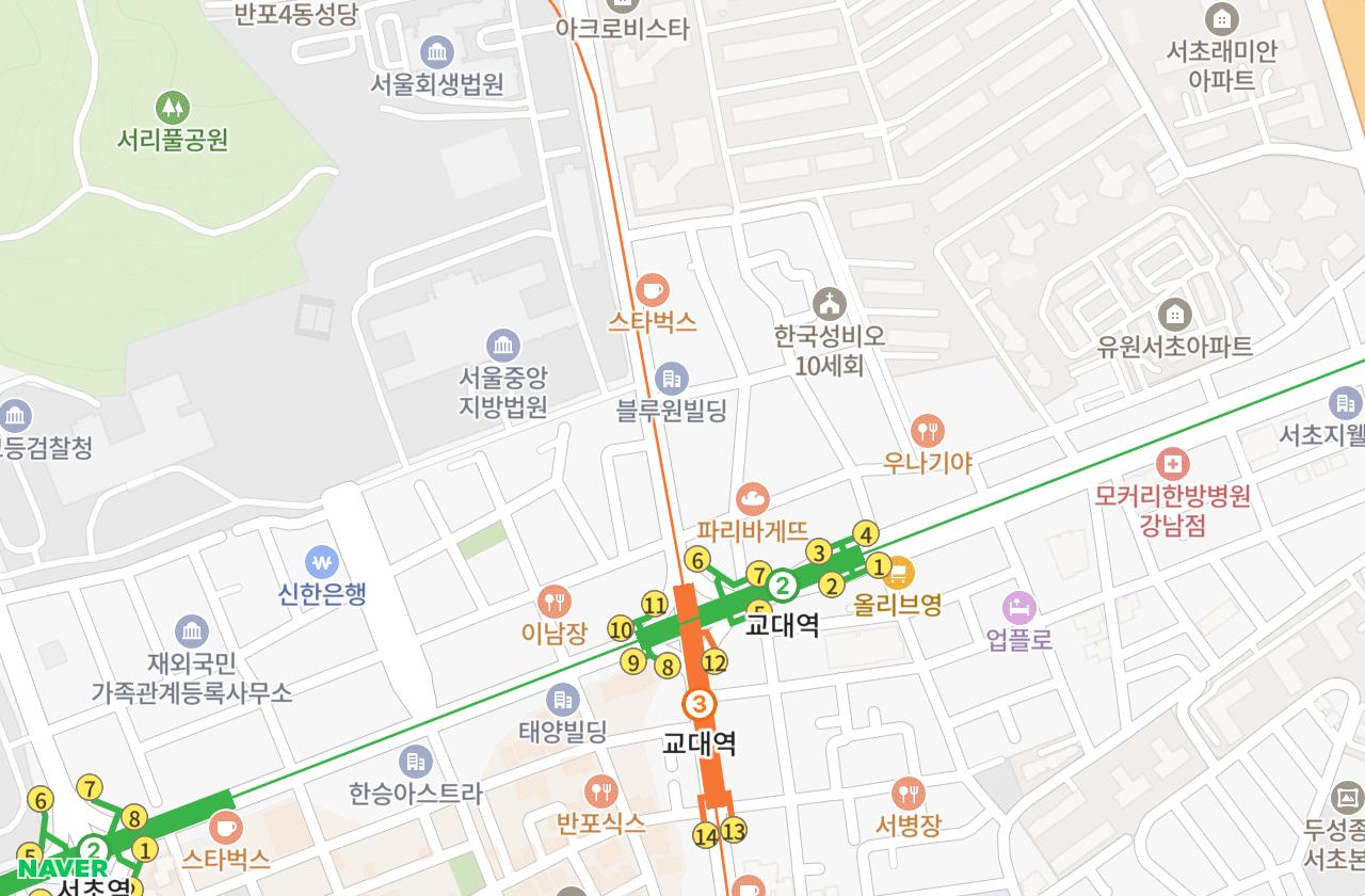 위치 지도