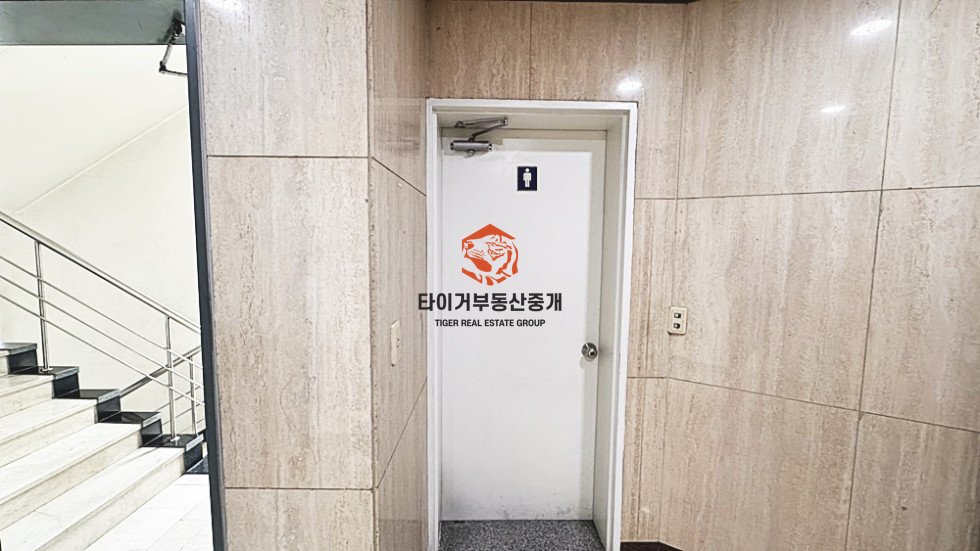 사진 5