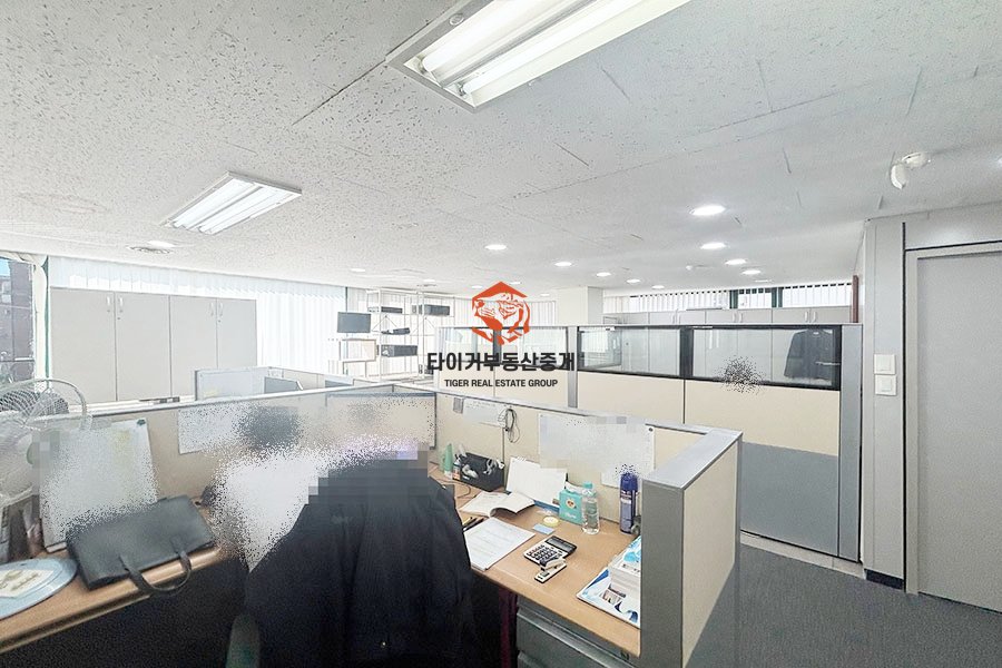 사진 8