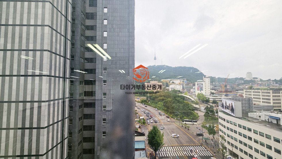 사진 5