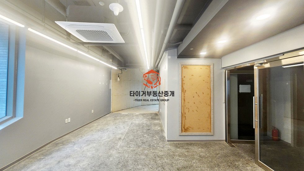 사진 5