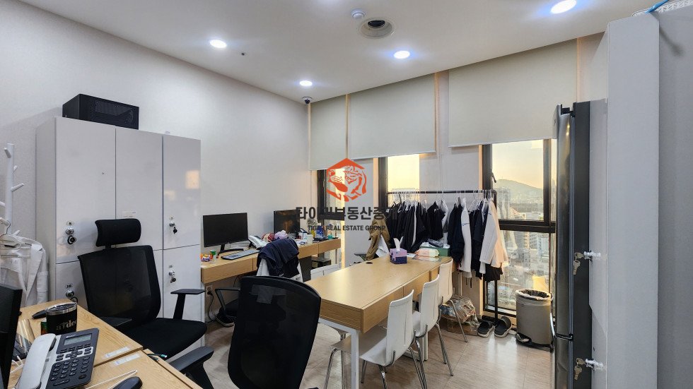 사진 5