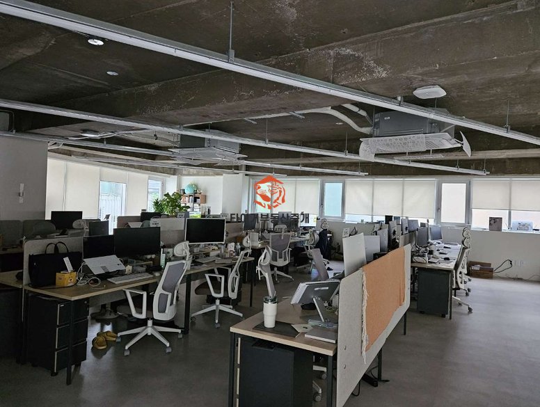사진 8