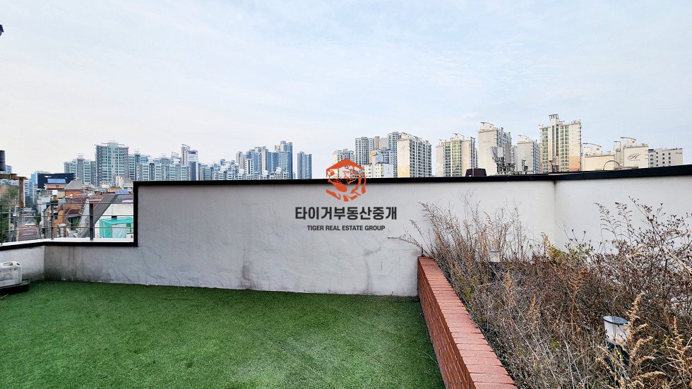 사진 17