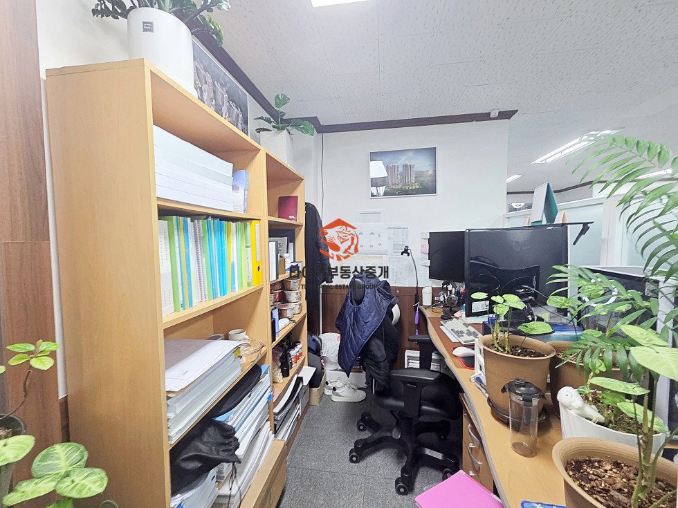 사진 8