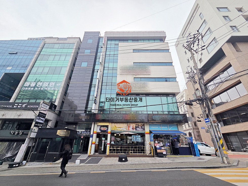 사진 12