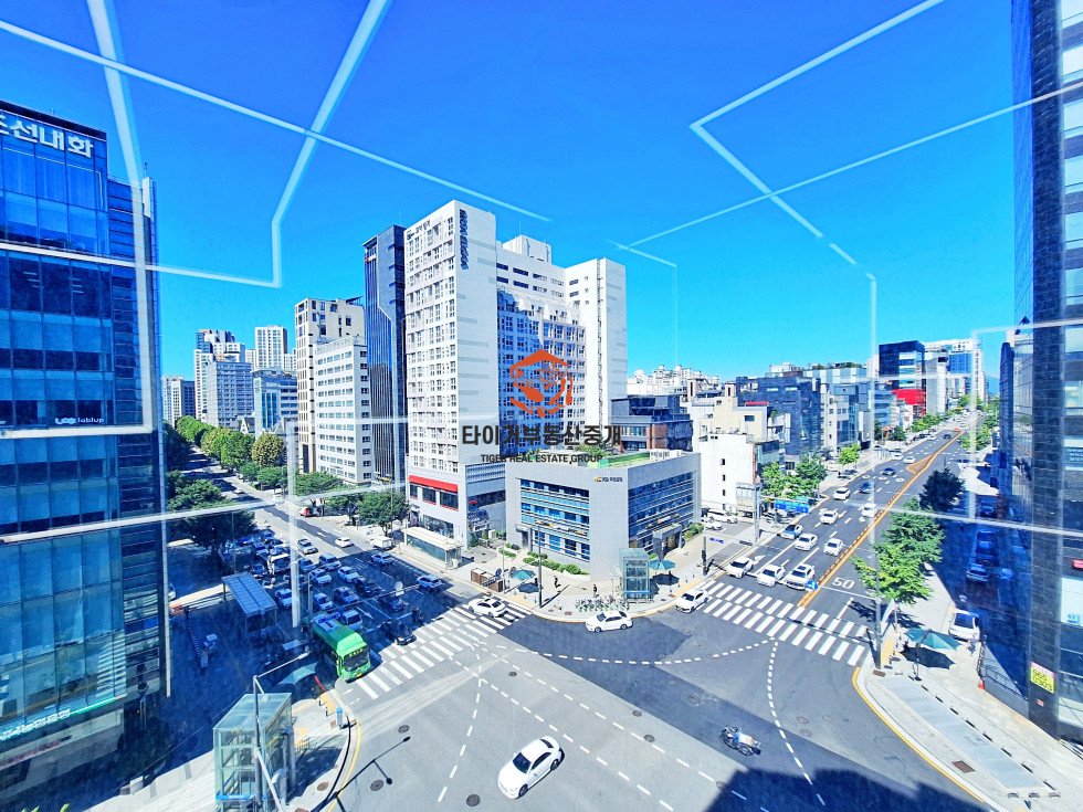 사진 9