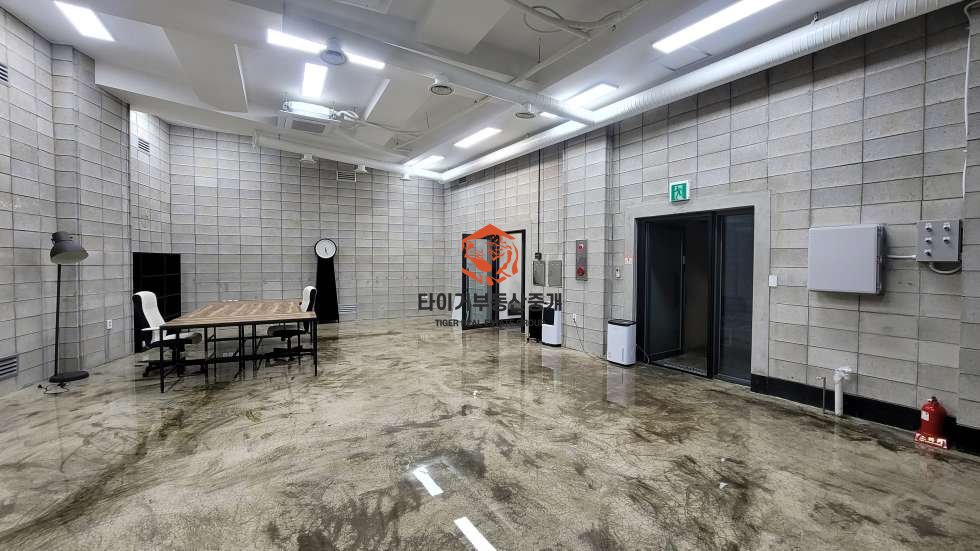 사진 9