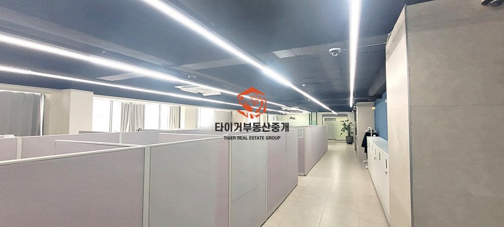 사진 5