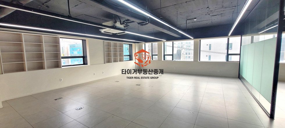 사진 10
