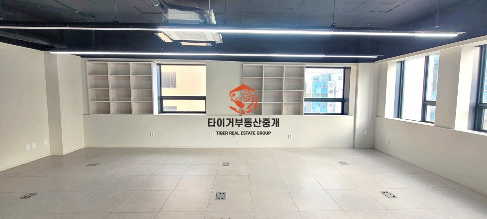 사진 12