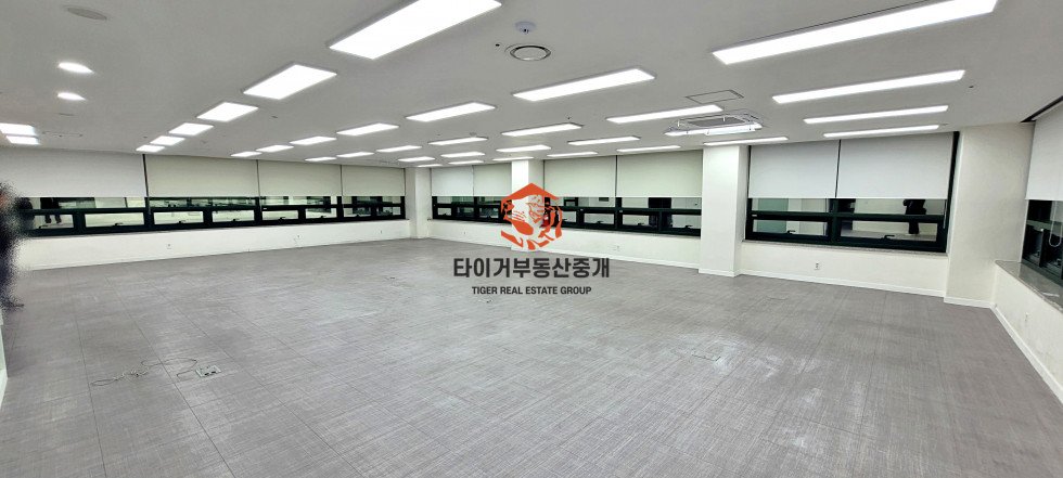 사진 5