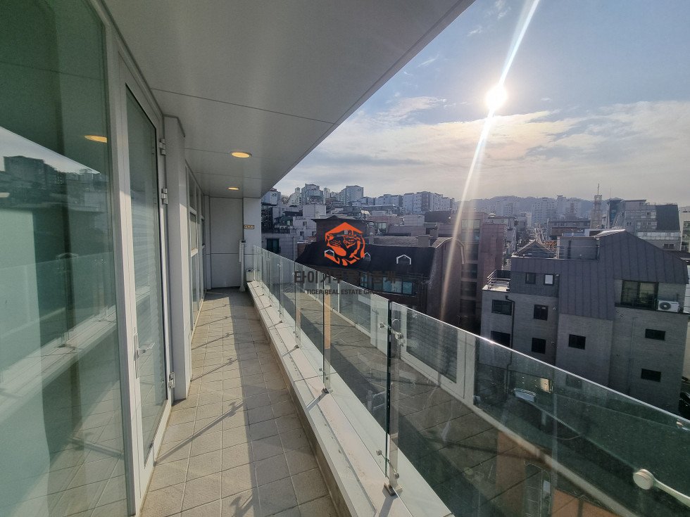 사진 10