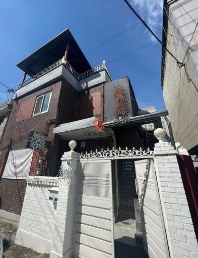 사진 3