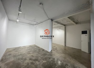 사진 12