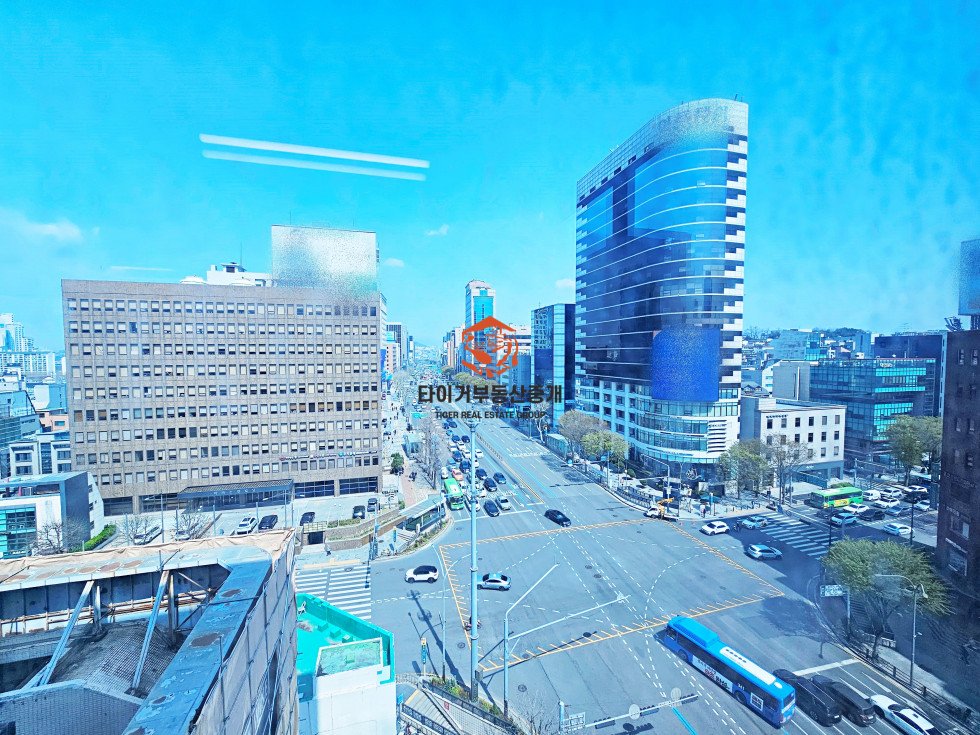 사진 8