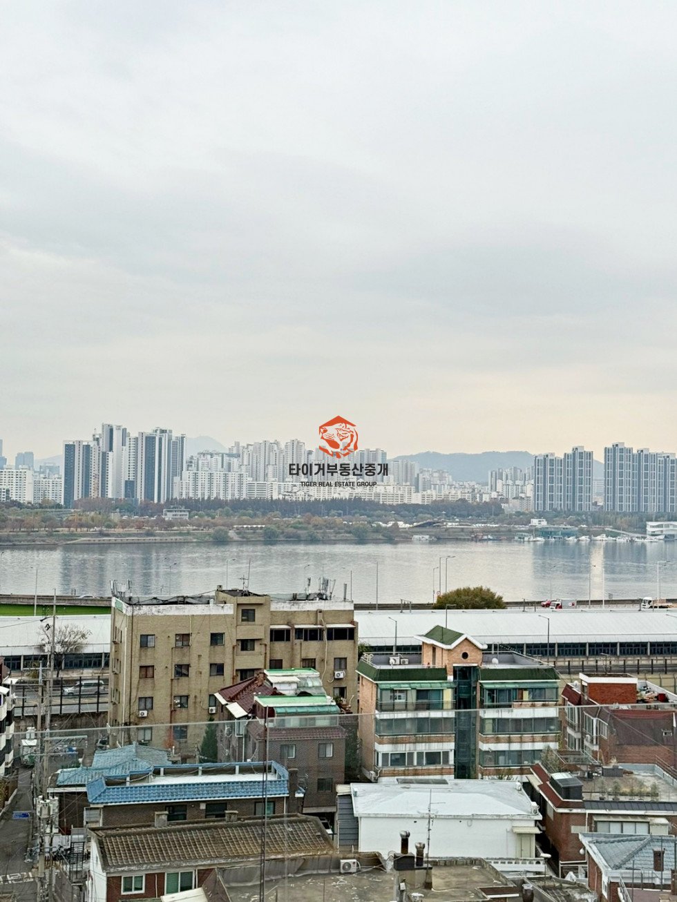 사진 6