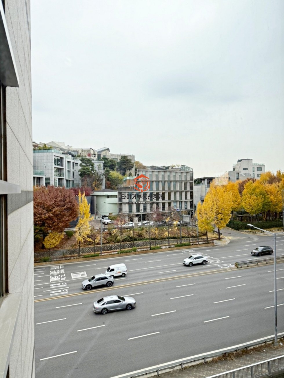 사진 7