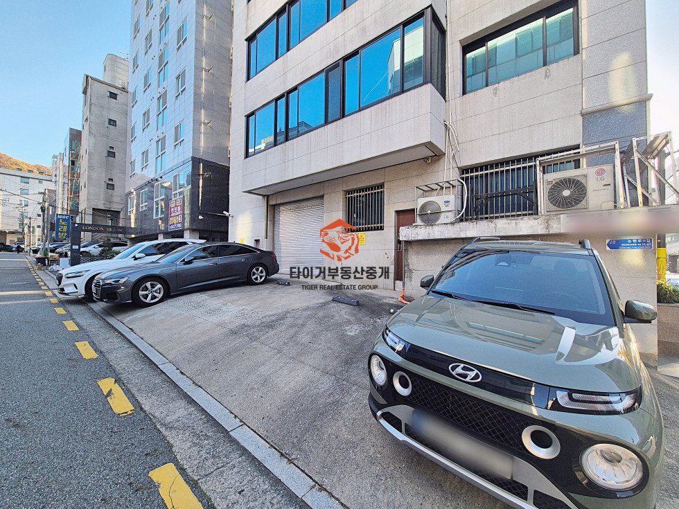 사진 12