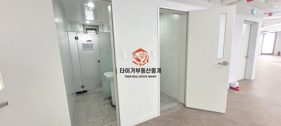 사진 5