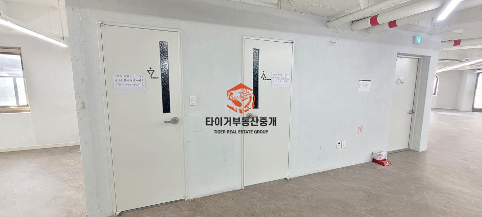 사진 6