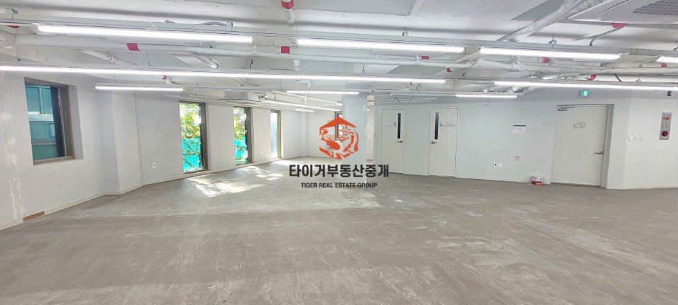 사진 8