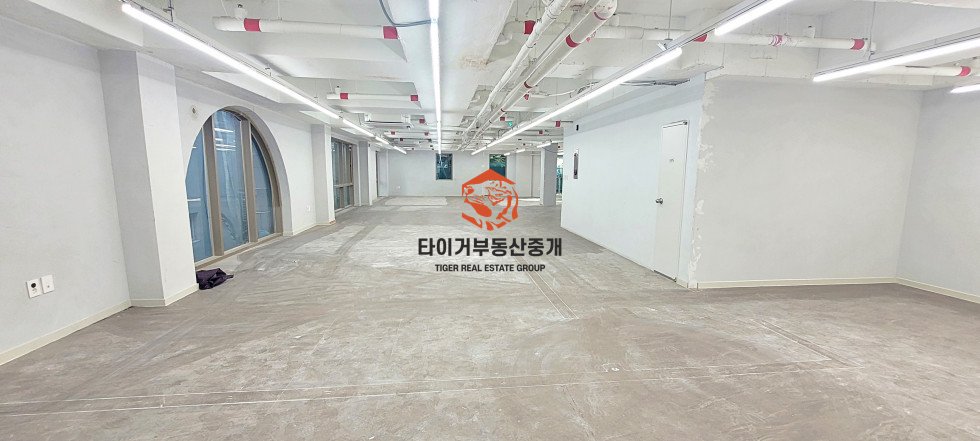 사진 11