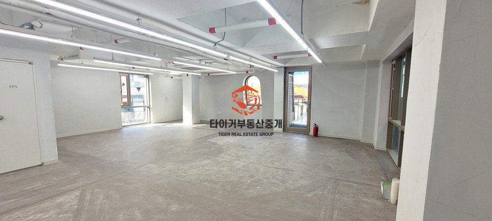 사진 12