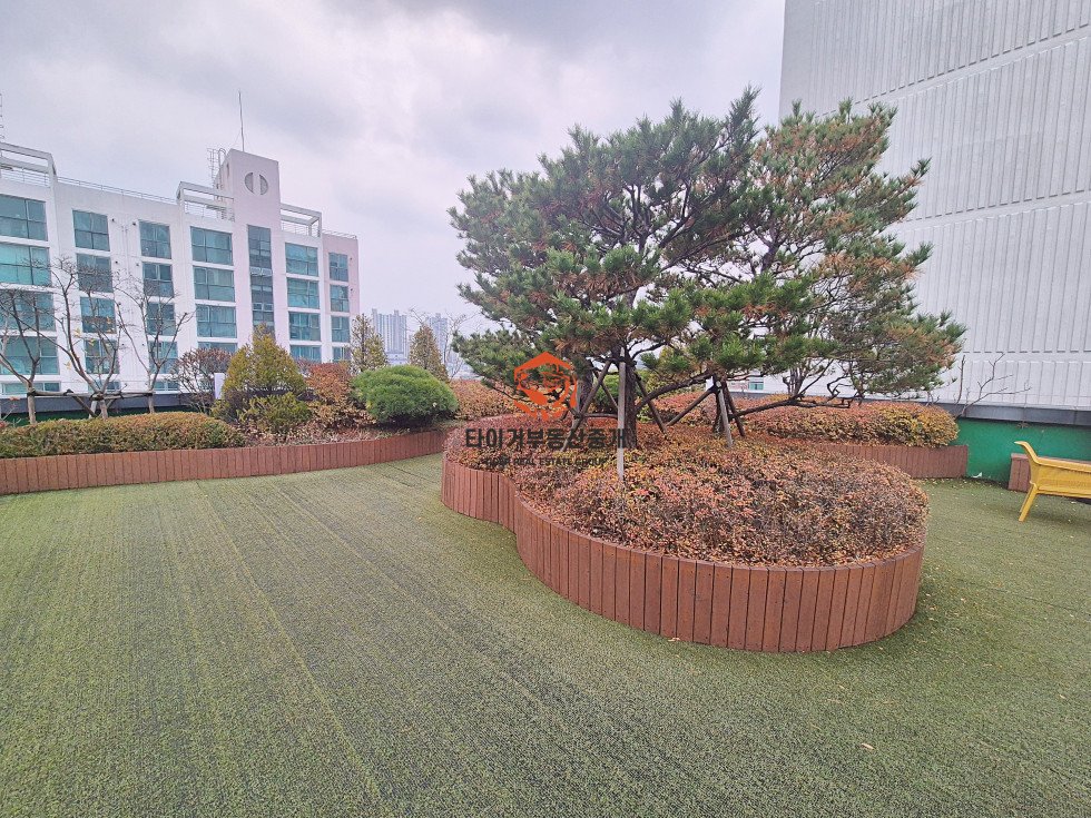 사진 18
