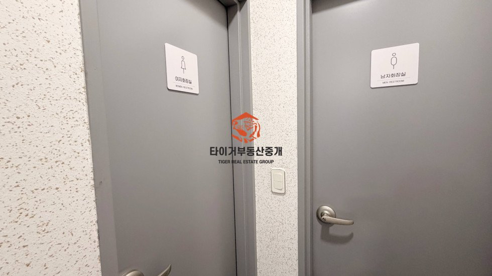사진 15