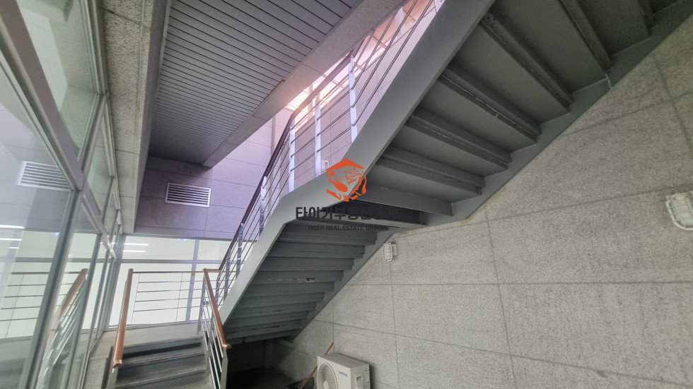 사진 7