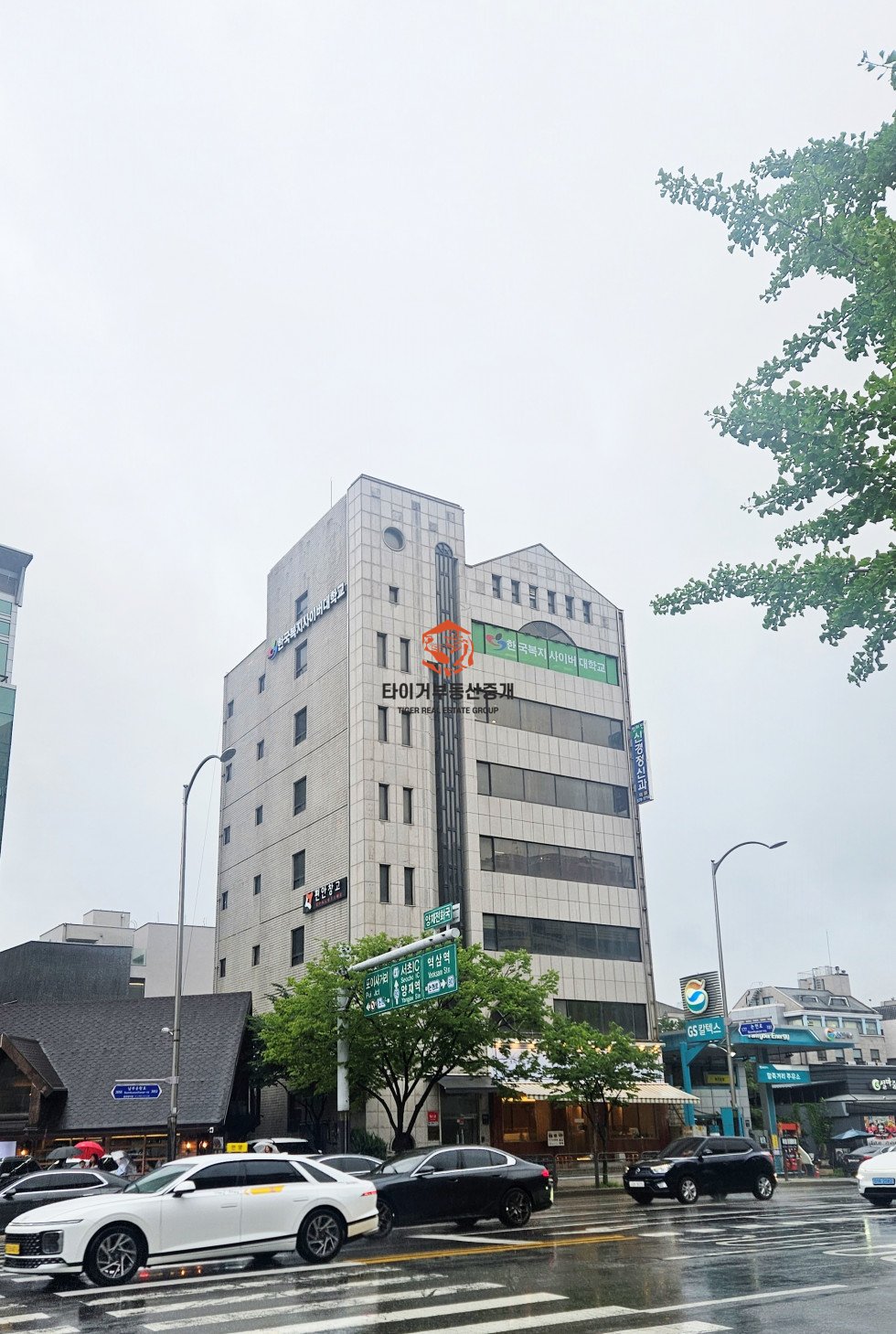 사진 9