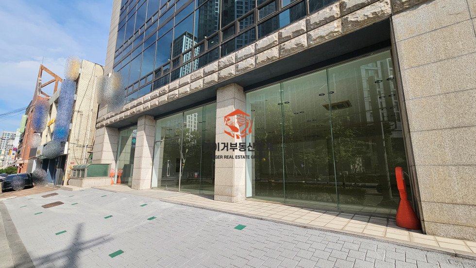 사진 5