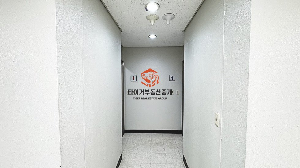 사진 8