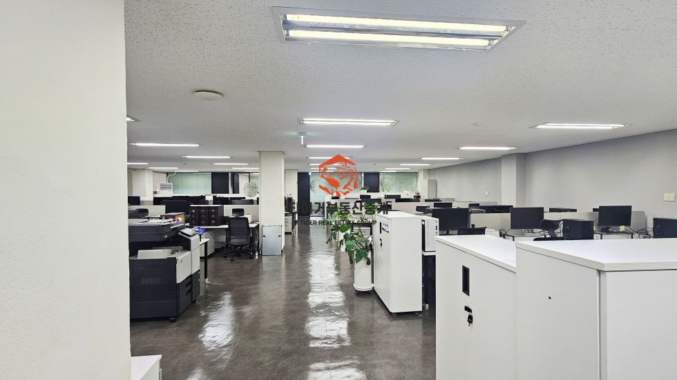 사진 4