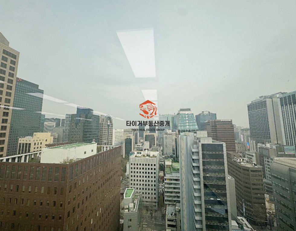 사진 4