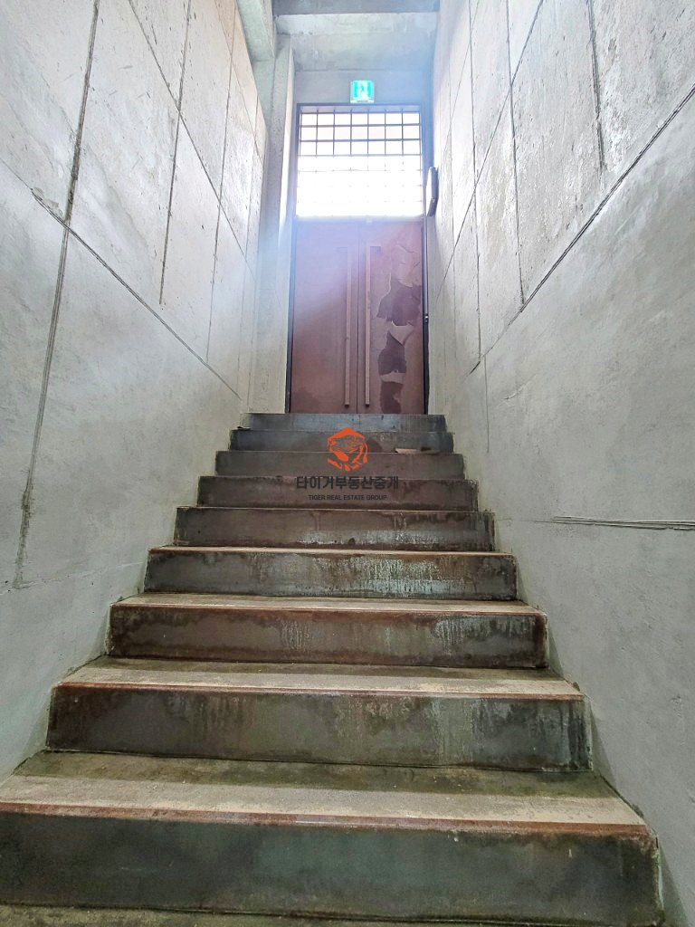 사진 14