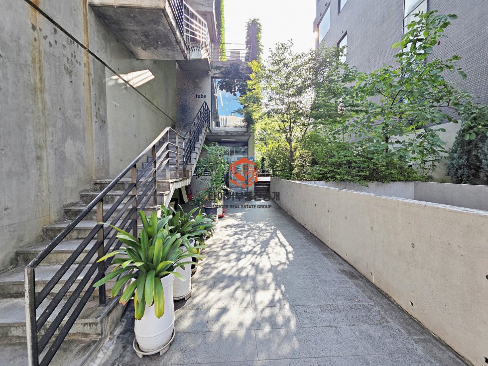 사진 13