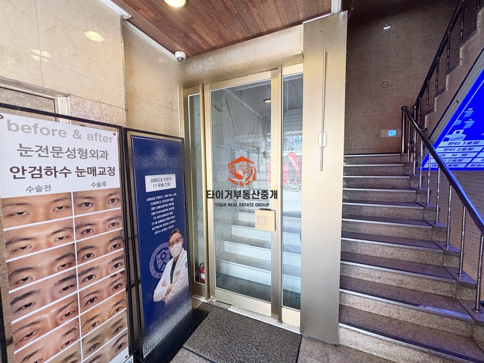 사진 5