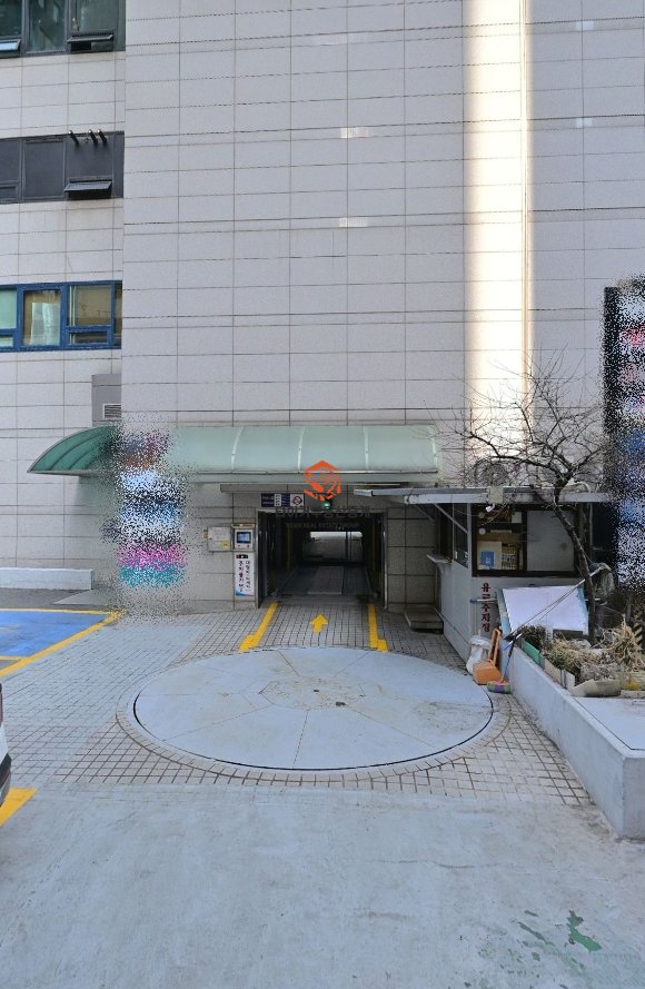 사진 10
