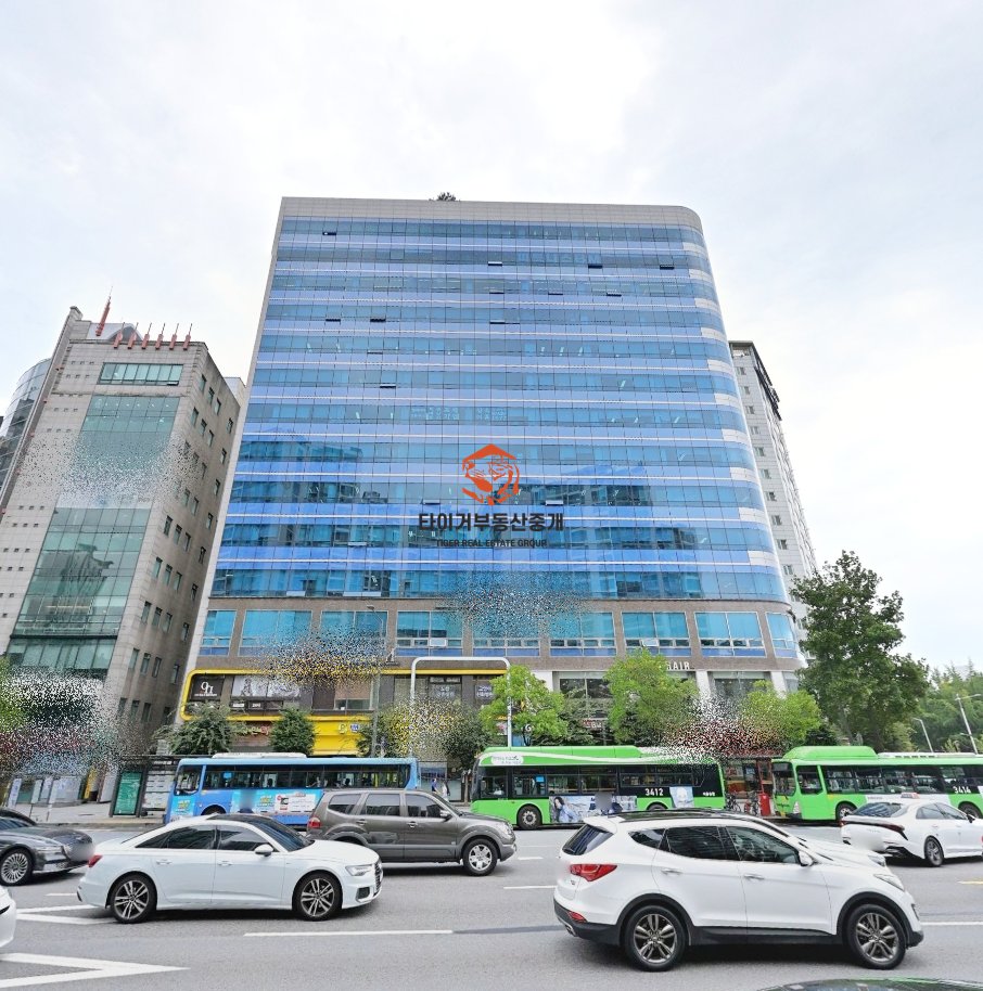 사진 15