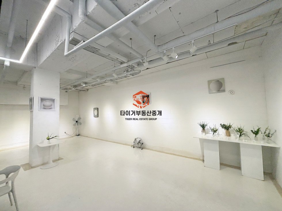 사진 10