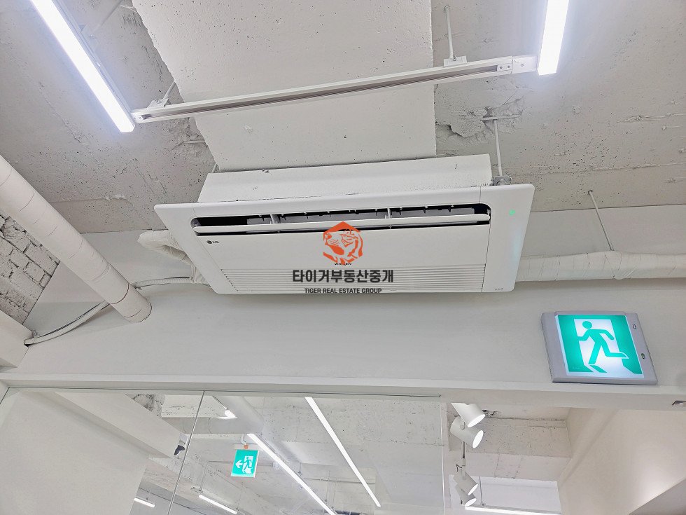 사진 7