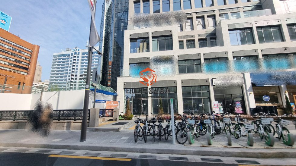 사진 11