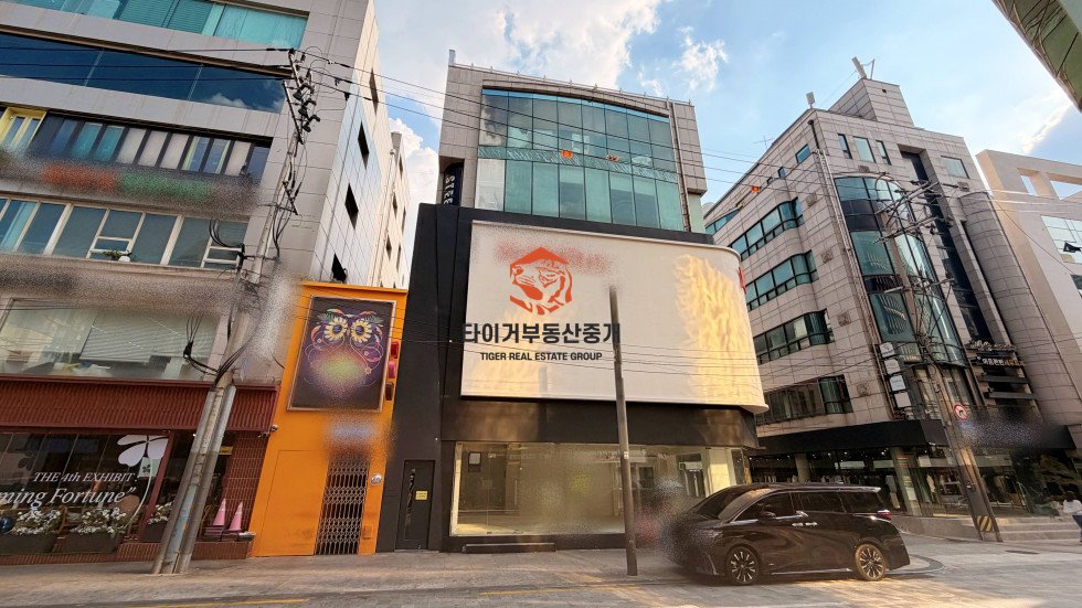 신사동