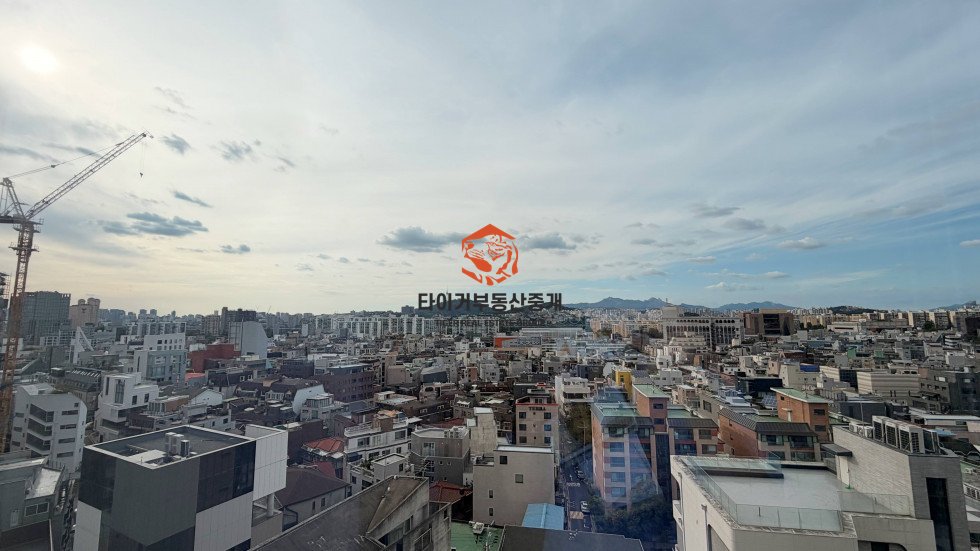 사진 3